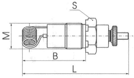 zhav_svic_spiral.gif (7903 bytes)